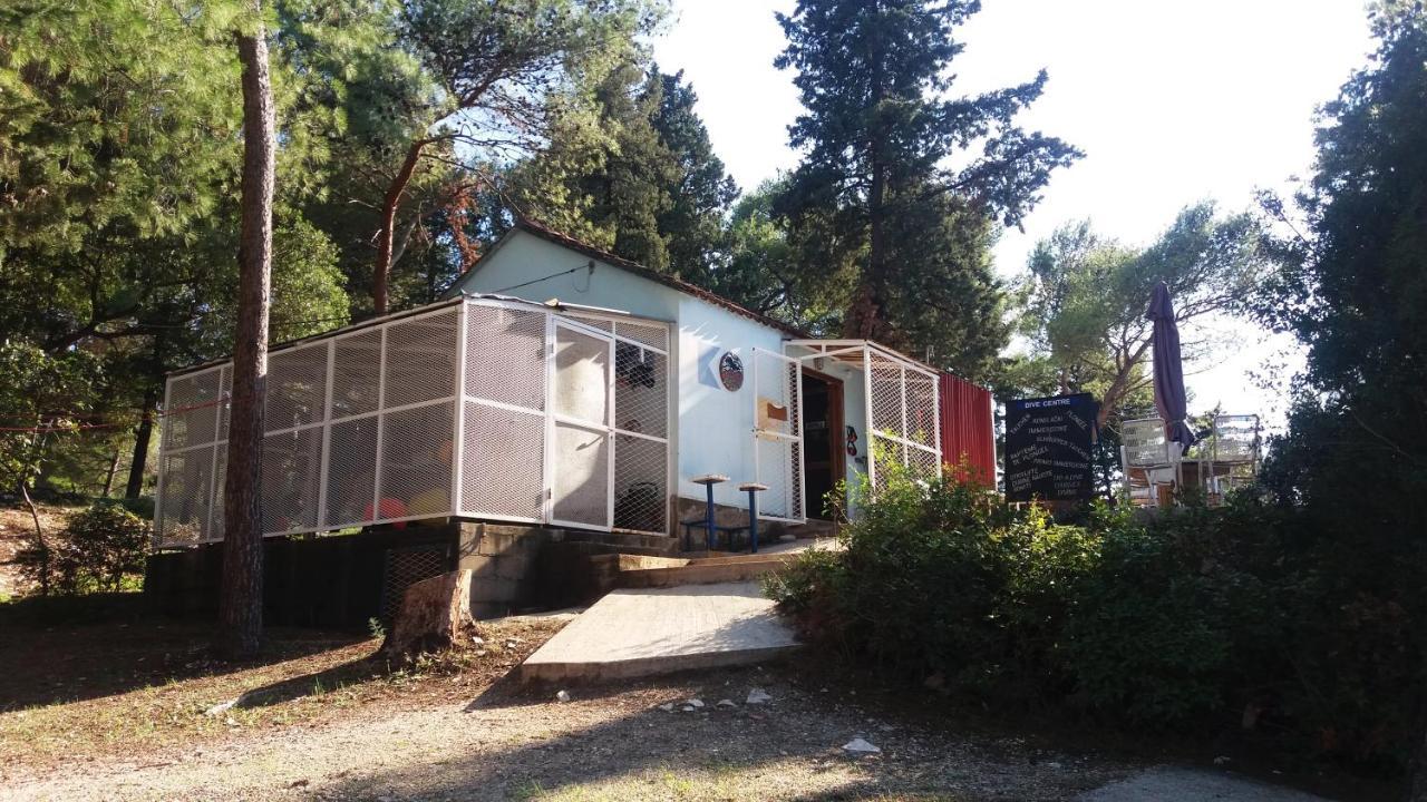 Jagoda Apartman Zrnovo Zewnętrze zdjęcie
