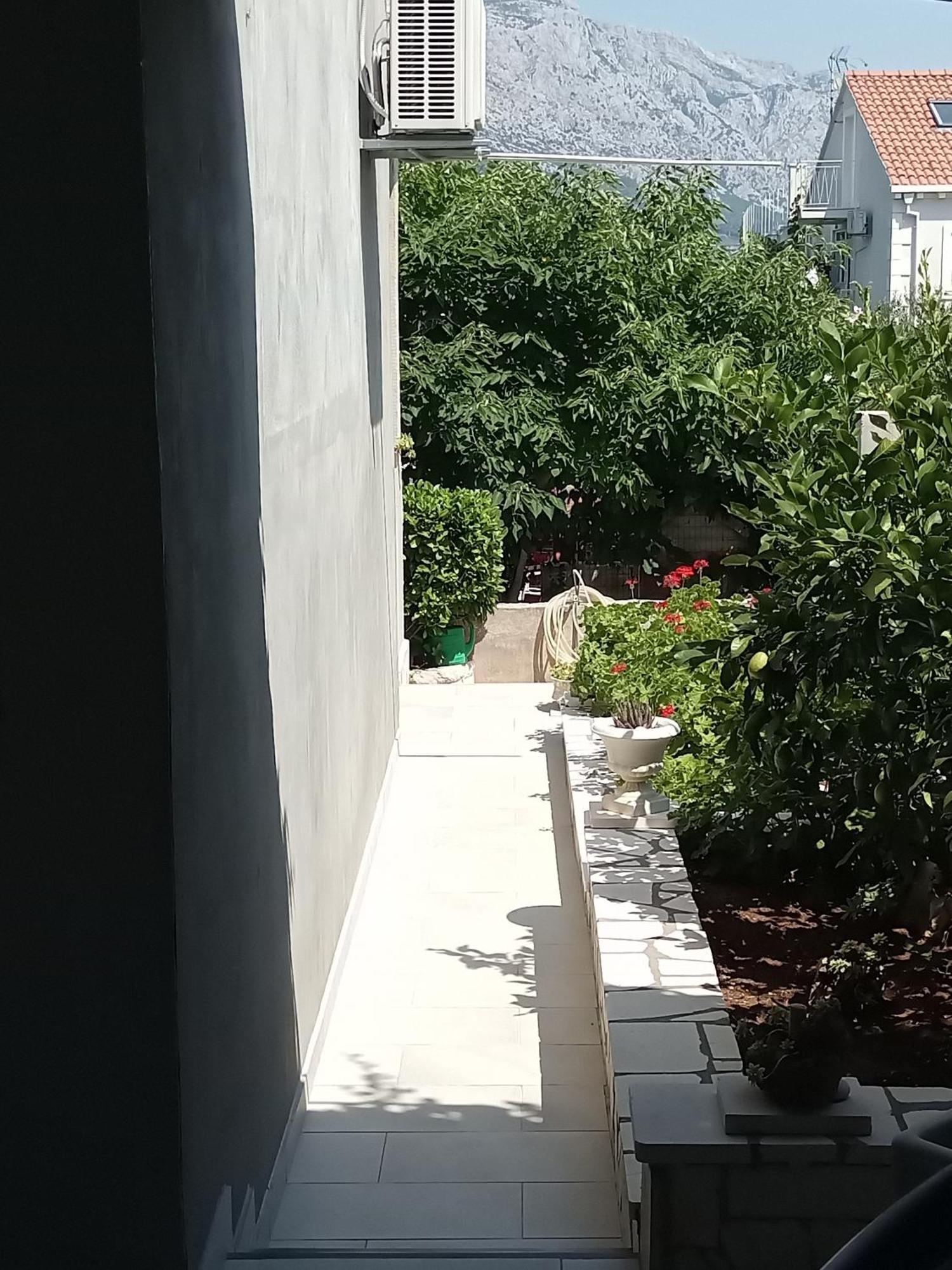Jagoda Apartman Zrnovo Zewnętrze zdjęcie
